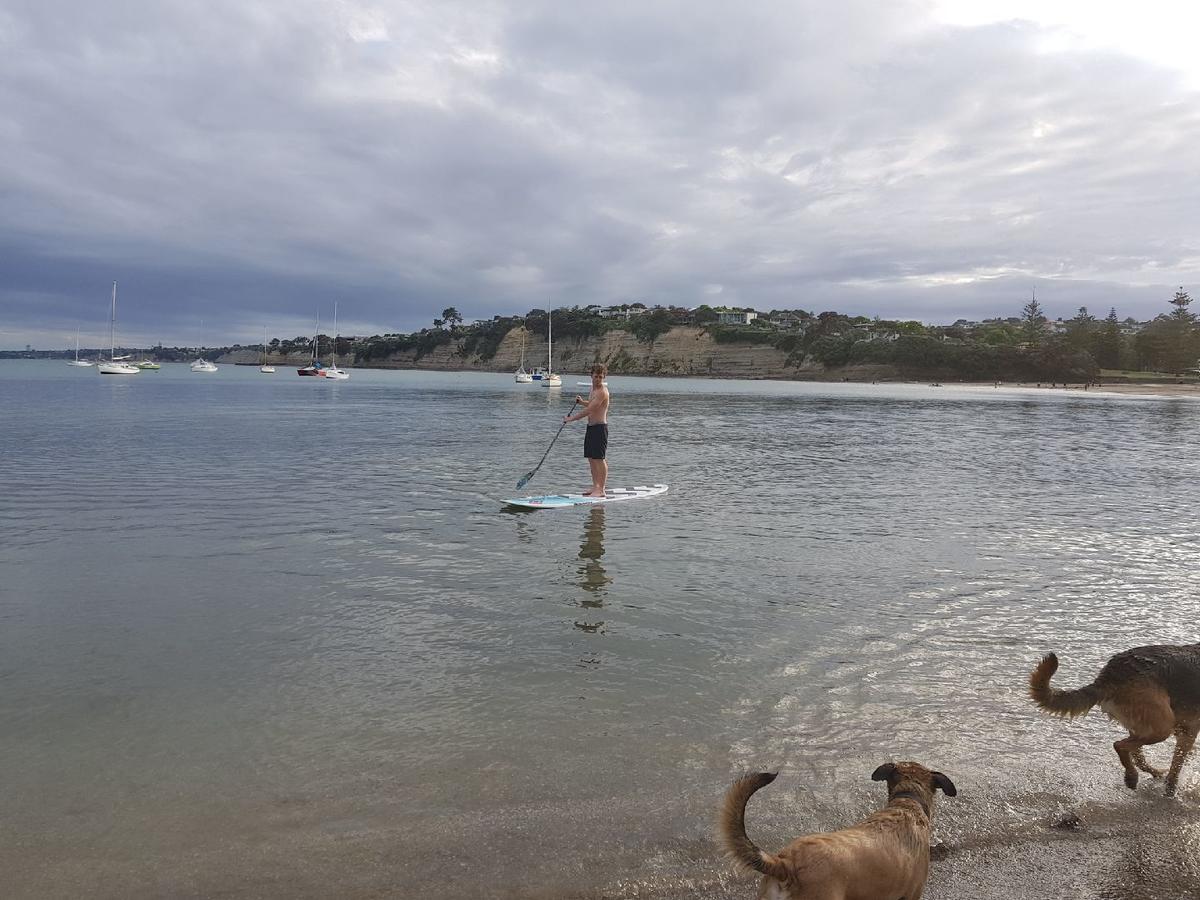 Close To Beach Apartment Auckland Bagian luar foto